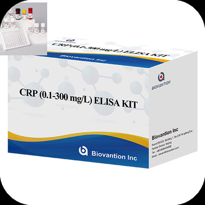 CRP 0,1-300 Mg/L Spesifisitas Elisa Test Kit Dengan Waktu Tes Cepat 1 Jam