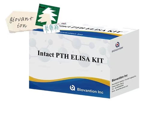 Kit Uji PTH 96 Ukuran ELISA yang utuh untuk Sampel Plasma dengan Waktu Pengukuran 1 Jam