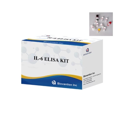 IL 6 Kit Uji Elisa 1 Jam Waktu Pengukuran 96 Tes Kit ELISA Untuk penggunaan laboratorium IVD