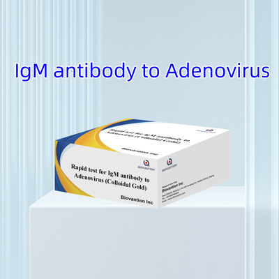 Kit Tes Antibodi IgM yang Tepat terhadap Virus Adeno untuk Strip Kaset Klinis dan Laboratorium