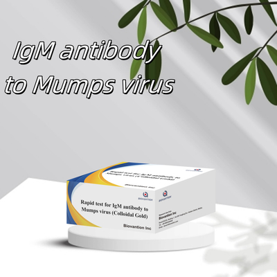 Tes cepat dengan akurasi emas koloid IgM antibodi terhadap virus mumps dalam format kaset / strip untuk hasil