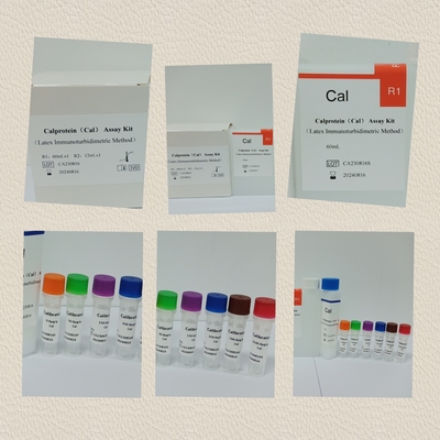 Kit Cal Calprotein Assay Kit Quantitative Human Diagnostic Detect Reagent Kit