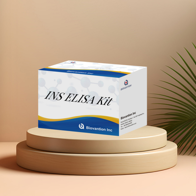 Kit Deteksi Insulin INS untuk manusia Reagen deteksi untuk manusia Serum