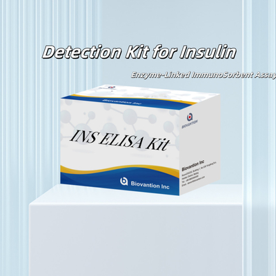 Kit Deteksi Insulin INS untuk manusia Reagen deteksi untuk manusia Serum