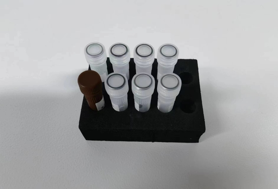 Hepatitis B Virus HBV kuantitatif PCR KIT Sensitivitas Sampel Tipe Test Kit Dengan 96 Tes
