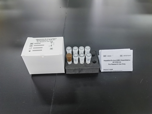 Hepatitis B Virus HBV kuantitatif PCR KIT Sensitivitas Sampel Tipe Test Kit Dengan 96 Tes