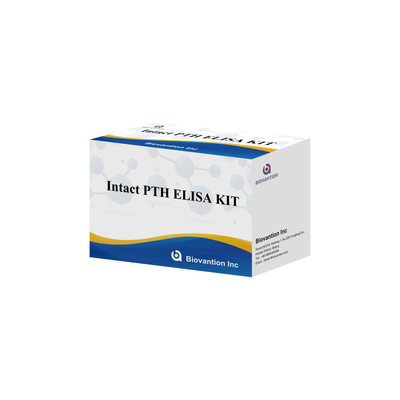 Kit deteksi untuk PTH utuh untuk manusia Reagen deteksi untuk plasma serum manusia