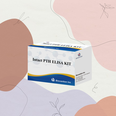 Kit deteksi untuk PTH utuh untuk manusia Reagen deteksi untuk plasma serum manusia