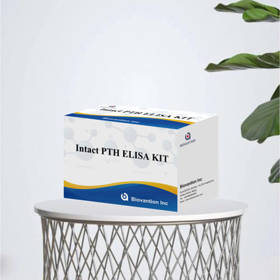 Kit deteksi untuk PTH utuh untuk manusia Reagen deteksi untuk plasma serum manusia