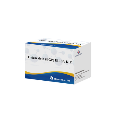 Kit Deteksi untuk Osteocalcin BGP Untuk Reagen Deteksi Manusia Untuk Plasma Serum Manusia