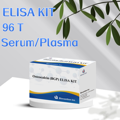 Kit Deteksi untuk Osteocalcin BGP Untuk Reagen Deteksi Manusia Untuk Plasma Serum Manusia