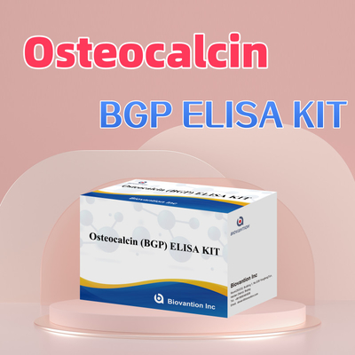 Kit Deteksi untuk Osteocalcin BGP Untuk Reagen Deteksi Manusia Untuk Plasma Serum Manusia