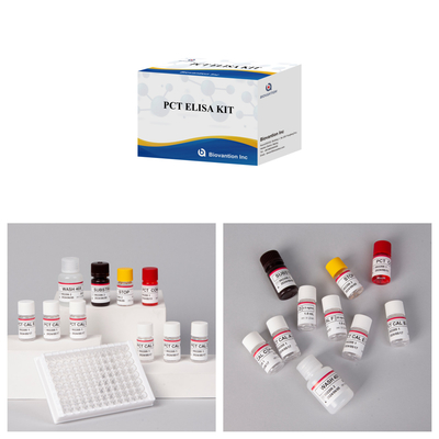 Kit deteksi untuk PCT untuk manusia Reagen deteksi untuk plasma serum manusia
