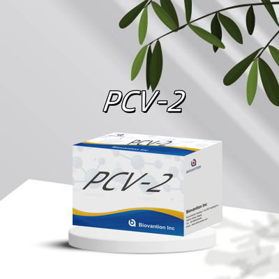 Tes WB/S/P PCV-2 ELISA untuk Reagen Veterinar Antibodi Hewan