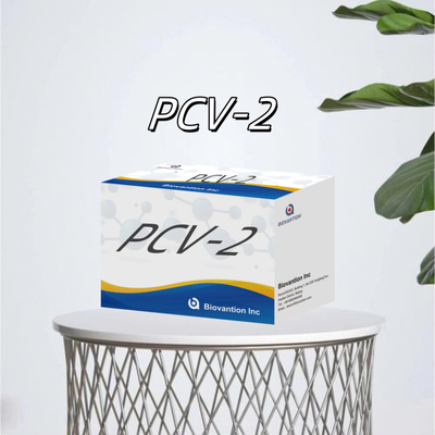 Tes WB/S/P PCV-2 ELISA untuk Reagen Veterinar Antibodi Hewan