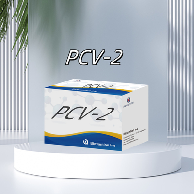 Tes WB/S/P PCV-2 ELISA untuk Reagen Veterinar Antibodi Hewan