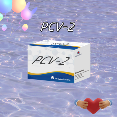 Tes WB/S/P PCV-2 ELISA untuk Reagen Veterinar Antibodi Hewan