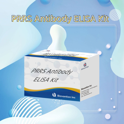 Tes ELISA untuk hewan PRRSV Antibodi PRRS babi Antibodi hewan Reagen ivd