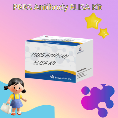 Tes ELISA untuk hewan PRRSV Antibodi PRRS babi Antibodi hewan Reagen ivd