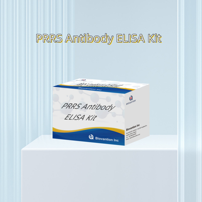 Tes ELISA untuk hewan PRRSV Antibodi PRRS babi Antibodi hewan Reagen ivd