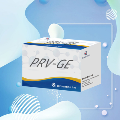 Kit Deteksi untuk Reagen Deteksi Hewan PRV-GE Antibodi ELISA Kit
