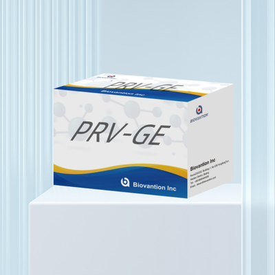 Kit Deteksi untuk Reagen Deteksi Hewan PRV-GE Antibodi ELISA Kit