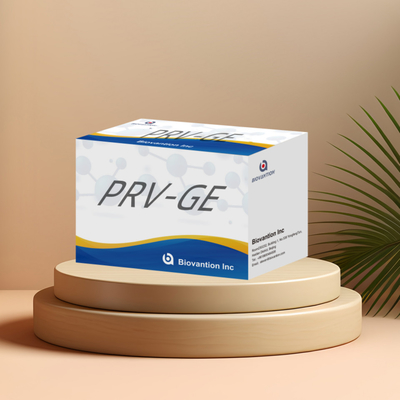 Kit Deteksi untuk Reagen Deteksi Hewan PRV-GE Antibodi ELISA Kit