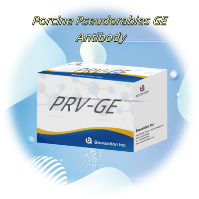Kit Deteksi untuk Reagen Deteksi Hewan PRV-GE Antibodi ELISA Kit