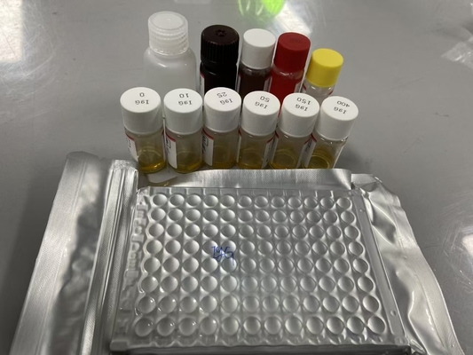 Rat Bcl-2 Serum Method ELISA Sampling Type Serum ELISA RUO Test Kit Dengan Spesifisitas 98%