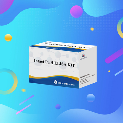 Kit deteksi untuk PTH utuh untuk manusia Reagen deteksi untuk plasma serum manusia