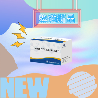 Kit deteksi untuk PTH utuh untuk manusia Reagen deteksi untuk plasma serum manusia
