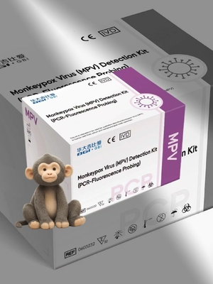 RT Reagen Deteksi PCR Waktu Nyata Virus Cacing KIT Multiplex Dingin beku
