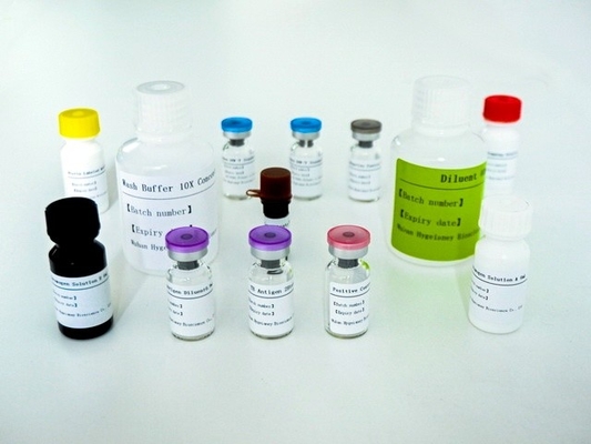 Kit Uji TB IGRA Elisa Lanjutan untuk Deteksi Antigen Sensitif dan Spesifik