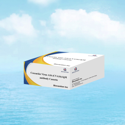 Coxsackie Virus A16 CVA16-IgM Antibodi Cassette WB/S/P Tes cepat emas koloid