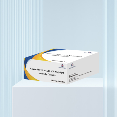 Coxsackie Virus A16 CVA16-IgM Antibodi Cassette WB/S/P Tes cepat emas koloid