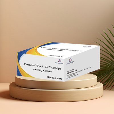 Coxsackie Virus A16 CVA16-IgM Antibodi Cassette WB/S/P Tes cepat emas koloid