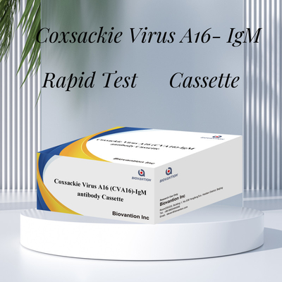 Coxsackie Virus A16 CVA16-IgM Antibodi Cassette WB/S/P Tes cepat emas koloid