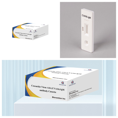 Coxsackie Virus A16 CVA16-IgM Antibodi Cassette WB/S/P Tes cepat emas koloid