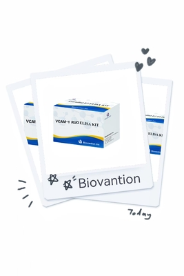VCAM-1 RUO Elisa Kit Human Vascular Endothelial Cell Adhesion Molekul 1