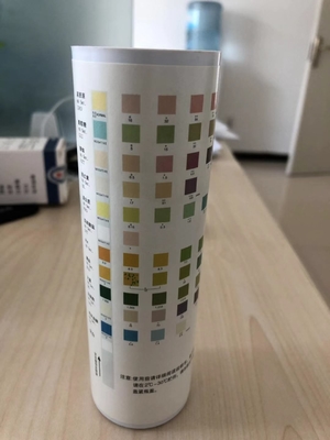 Menganalisis Urin Test Strip Metode kimia kering Urin-H-11 Urin-H-10 Urin-H-8