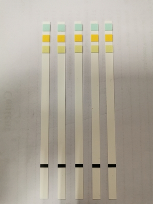 Menganalisis Urin Test Strip Metode kimia kering Urin-H-11 Urin-H-10 Urin-H-8