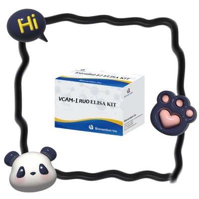 Human TLR4 RUO ELISA Assay Kit Untuk Diagnosis Medis RUO Penelitian Penggunaan Hanya
