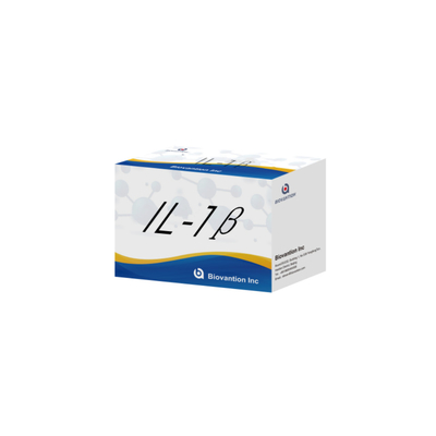 IL-1β Sensitive ELISA Kit untuk Penelitian dengan Sensitivitas 95% dan 6 Bulan