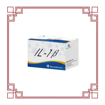 IL-1β Sensitive ELISA Kit untuk Penelitian dengan Sensitivitas 95% dan 6 Bulan