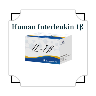 IL-1β Sensitive ELISA Kit untuk Penelitian dengan Sensitivitas 95% dan 6 Bulan