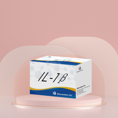 IL-1β Sensitive ELISA Kit untuk Penelitian dengan Sensitivitas 95% dan 6 Bulan