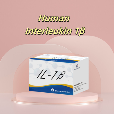 IL-1β Sensitive ELISA Kit untuk Penelitian dengan Sensitivitas 95% dan 6 Bulan