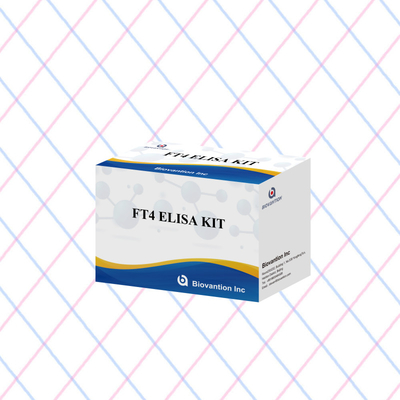 FT4 Elisa Kit dengan 95% Sensitivitas Reagen uji in vitro untuk penggunaan manusia