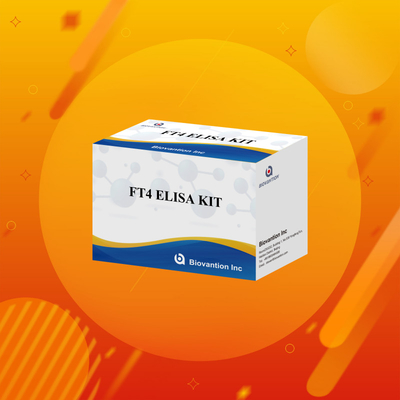 FT4 Elisa Kit dengan 95% Sensitivitas Reagen uji in vitro untuk penggunaan manusia