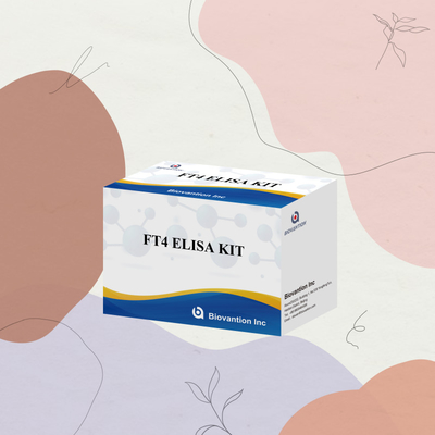 TOXO IgM IgG igg igm kit elisa untuk kit uji reagen diagnostik untuk penggunaan manusia dengan 96 kit